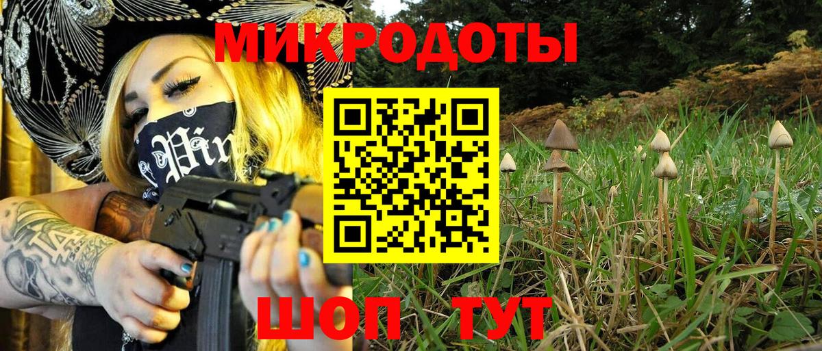 Псилоцибиновые грибы Cubensis  Вход с VPN  Знаменск  Галлюциногенные грибы Cubensis 